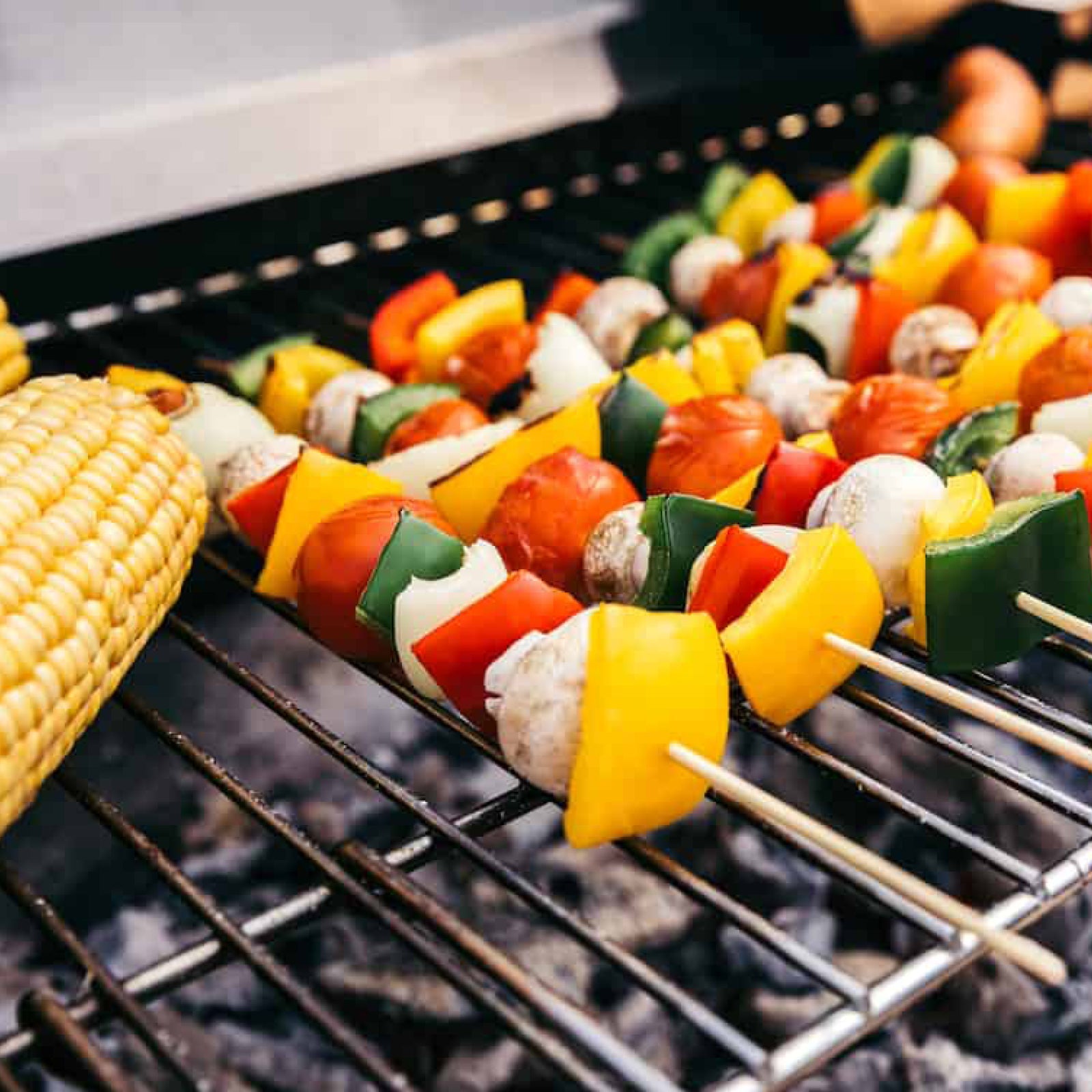 BBQ Adjustable Grill Shelf Rack Extendable Screw Fix Arms Barbecue Grid