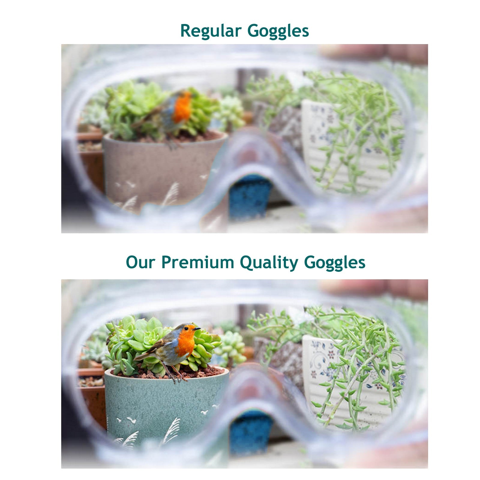 Multipurpose Safety Goggles Protection Glasses One Size Fit Pack of 1 Clear